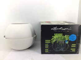 maceta