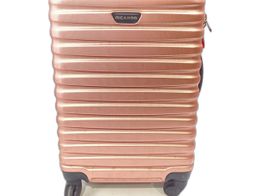 mala de viagem ricardo rosa