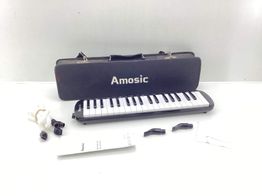 mel&oacute;dica amosic sin modelo