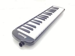 mel&oacute;dica amosic sin modelo