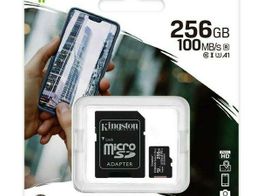 micro sd kingston 256 gb