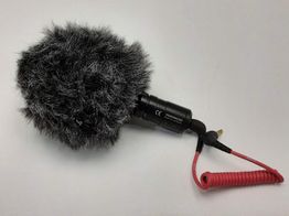 micro videocamara rode videomicro