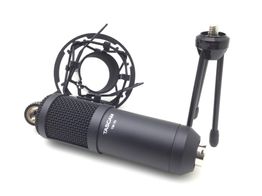 microfono tascam tm-70