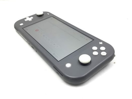 nintendo switch lite nintendo switch lite