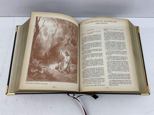 objetos insolitos biblia biblia