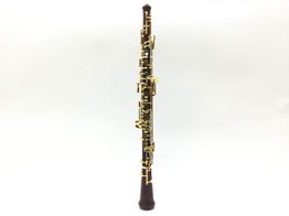 oboe yinfente sin modelo