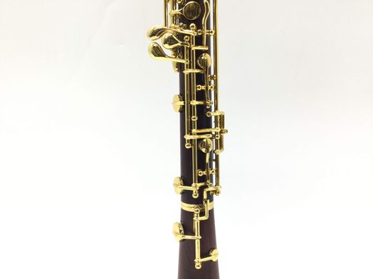 obo&eacute; yinfente sin modelo