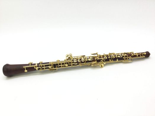 obo&eacute; yinfente sin modelo