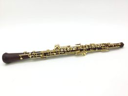 obo&eacute; yinfente sin modelo