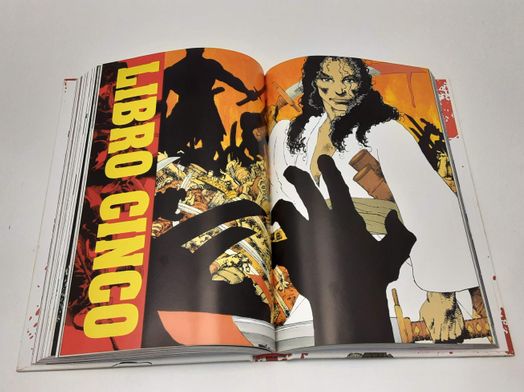 otras colecciones ecc frank miller ronin