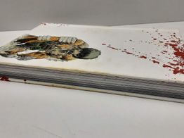 otras colecciones ecc frank miller ronin