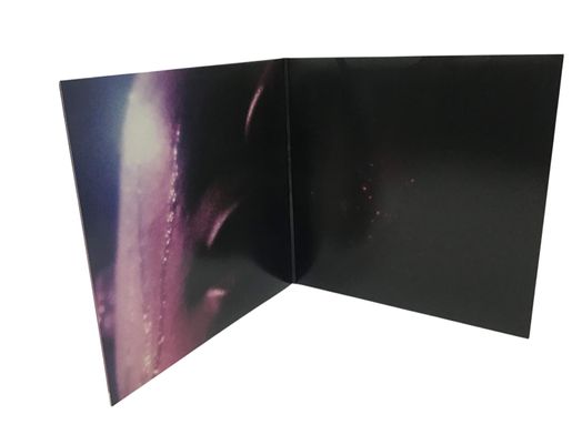 otras colecciones halsey a01 manic