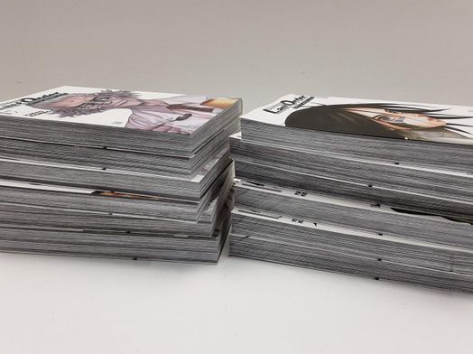 otras colecciones ivrea gunnm last order