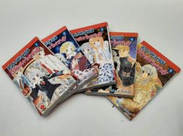 otras colecciones panini nagatacho strawberry