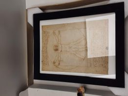 otras colecciones skel-art leonardo 500