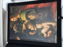 otras colecciones skel-art leonardo 500