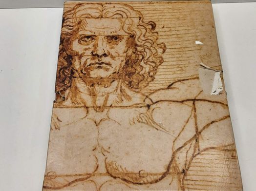 otras colecciones skel-art leonardo 500