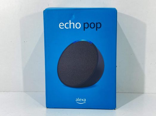 otros informatica alexa echo pop
