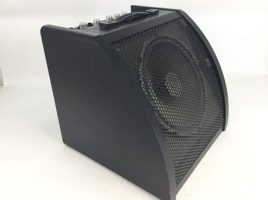 outros instrumentos m&uacute;sica fame ap30