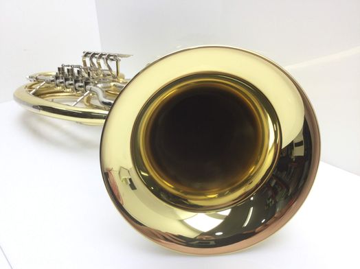 otros instrumentos musica roy benson bh-202