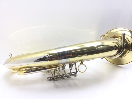 otros instrumentos musica roy benson bh-202