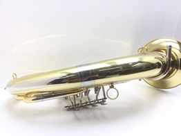 otros instrumentos musica roy benson bh-202