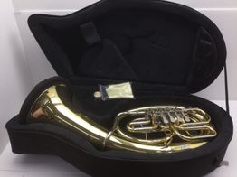 otros instrumentos musica roy benson bh-202