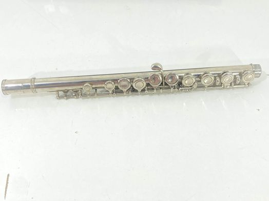 otros instrumentos musica yamaha yfl-22n