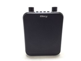 otros sonido giecy g300