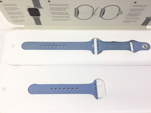 apple blue fog sport band