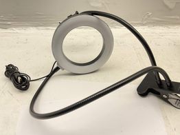 balck professional live stream