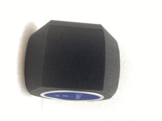 outros instrumentos m&uacute;sica alctron pf8