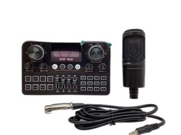 outros m&uacute;sica profissional enping zhongxinhe sx91
