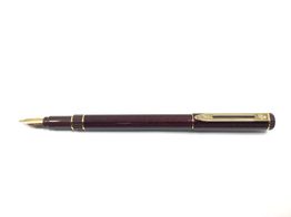 pluma estilografica alta gama waterman paris