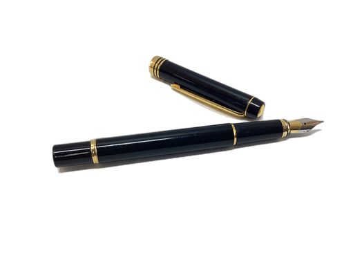 caneta tinta permanente ciros s/m