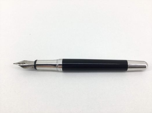 pluma estilografica waldenman plateado