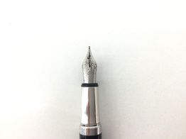 pluma estilografica waldenman plateado