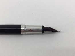 pluma estilografica waldenman plateado