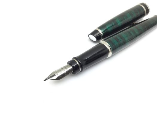 pluma estilografica waterman expert 3
