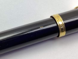 caneta tinta permanente waterman -