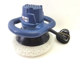 polidora dexter r7 186