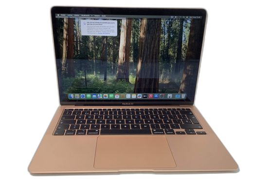 portatil apple apple macbook air core i5 1.1 13 (2020) (a2179)