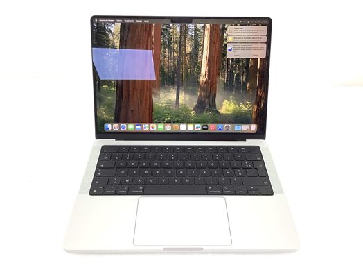 portatil apple apple macbook pro m4 10-core 14 (10gpu) (2024) (a3112)