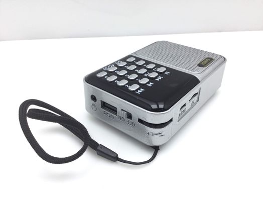 radio portatil sanda sd-4009