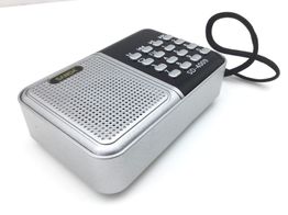 radio portatil sanda sd-4009