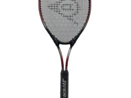 raqueta dunlop power lite