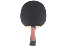 raqueta tibhar lebrun pro x