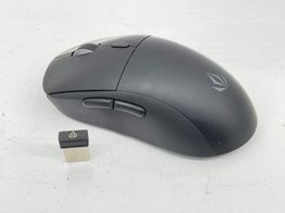 raton forgeon darrowspike