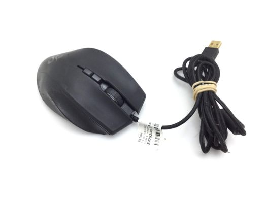 raton newskill habrok