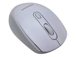 raton pacifico np-r1481